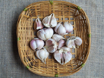 Chinese Old Garlic 老蒜